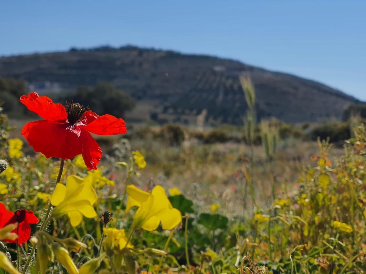 Ephantasy Living - Luxury With Roof Garden Kalamaki (Heraklion)